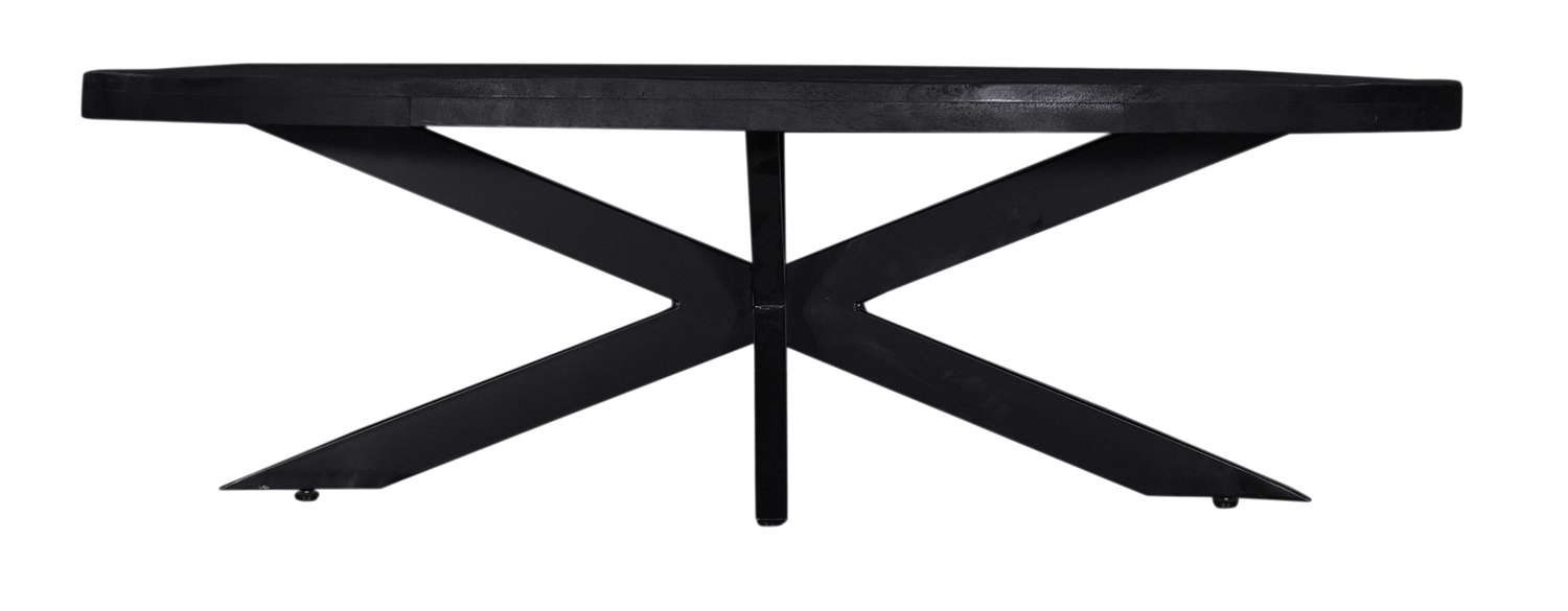 Couchtisch MADISON oval 130 x 70 cm Mangoholz schwarz