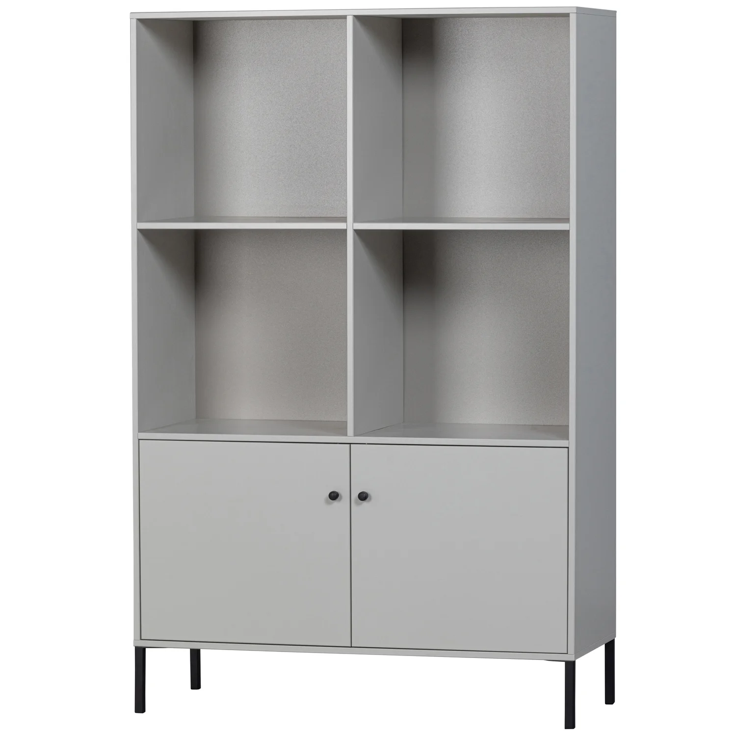 Bücherschrank Schrank XAM 2-türig Kiefernholz wolkengrau