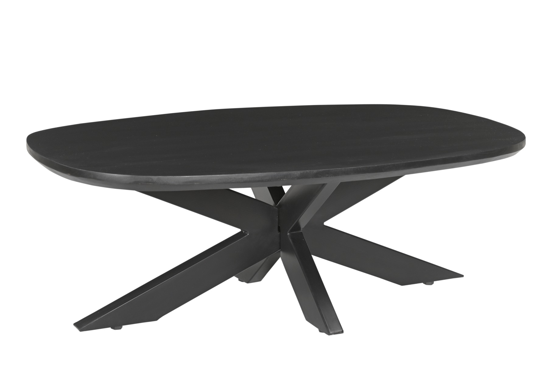 Couchtisch Sofatisch Jesper 120 x 75 cm Mangoholz 