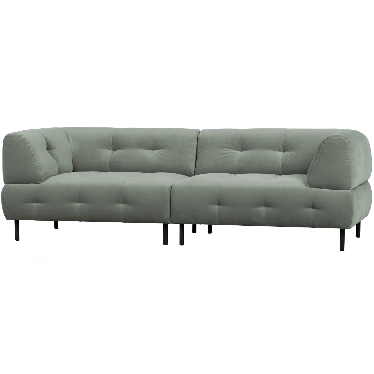 4 Sitzer Sofa Lloyd Samt Velvet wasserpflanze Couch