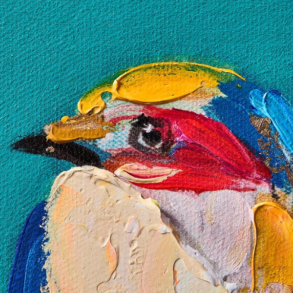 Bild 30 x 30 cm Zwitscherklang Vogel Bird Acryl Leinwand türkis