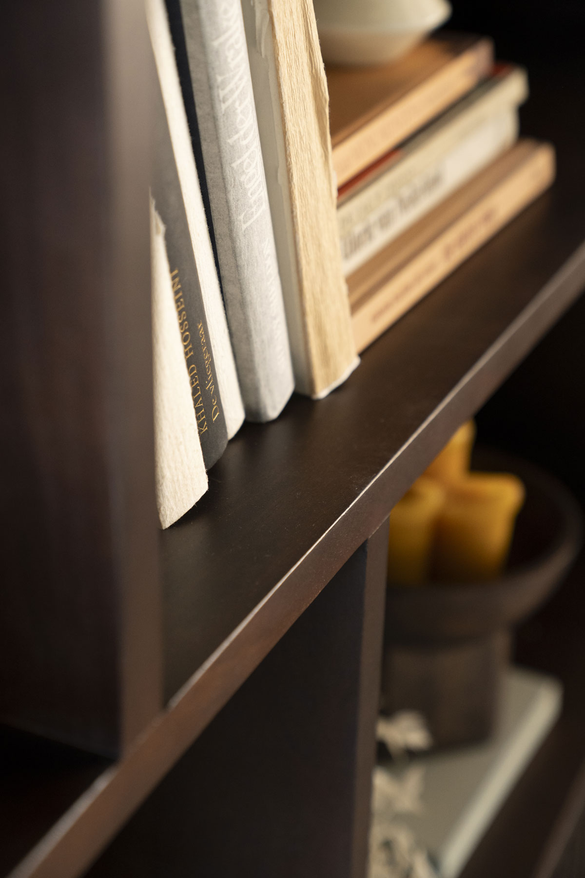 Bücherschrank Schrank Remi 4-türig Mangoholz braun