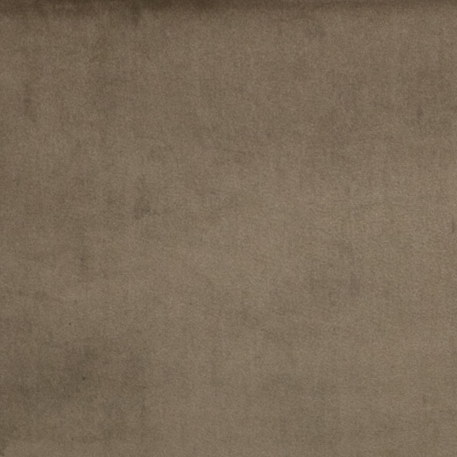 3 Sitzer Sofa STATEMENT Samt taupe Couch Garnitur Couchgarnitur