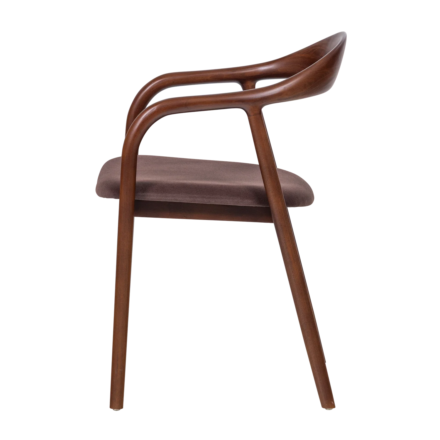 2er Set Armlehnstuhl BRAN Buche Samt braun