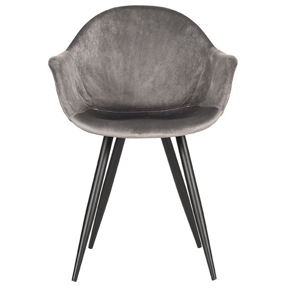 Esstischstuhl Morli Samt Velvet grau Schalenstuhl Stuhl