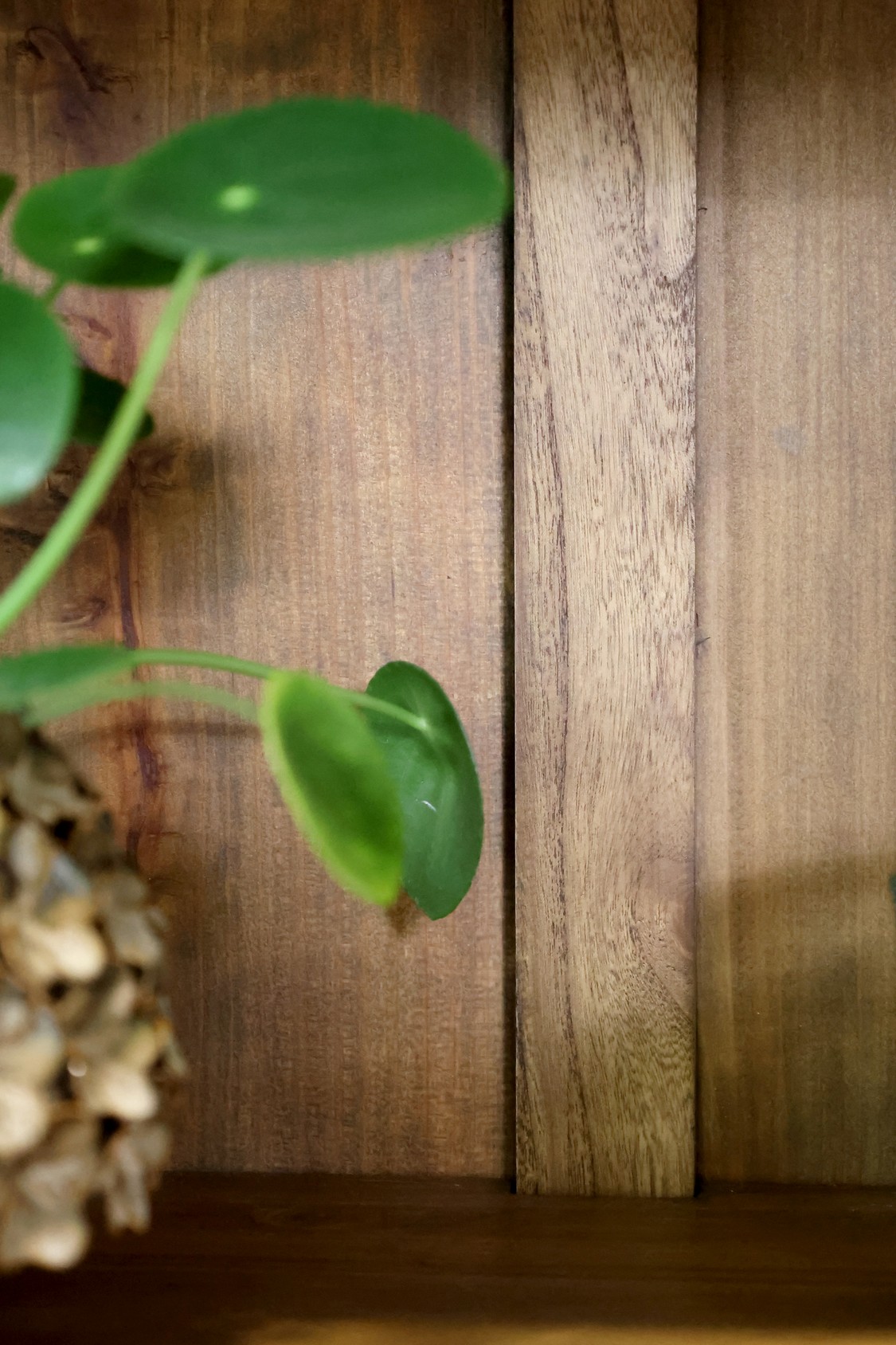 Vitrine Marseille Glasvitrine natur