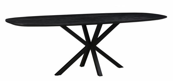 Esstisch PEDRO oval 160 x 90 cm Mangoholz schwarz